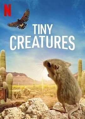 微观世界 Tiny Creatures