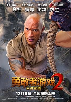 勇敢者游戏2:再战巅峰 Jumanji: The Next Level 勇敢者游戏2:再战巅峰 Jumanji: The Next Level